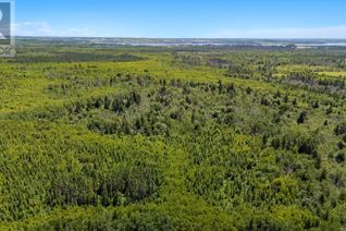 Land for Sale, Acreage Cable Head West, Cable Head West, PE