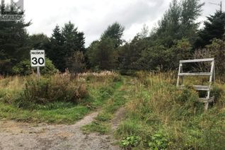 Land for Sale, 1 Wallace's Road, Milton-Georges Brook, NL