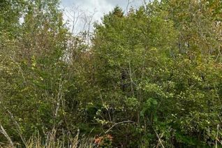 Land for Sale, Lot Baxters Harbour Road, Glenmont, NS