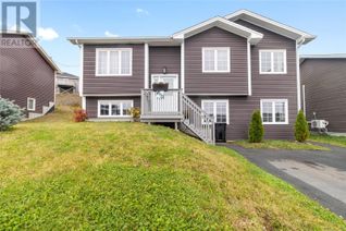 House for Sale, 19 Adventure Avenue, St John's, NL