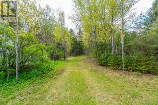 Property for Sale, 0 The Avenue, Kawartha Lakes (Kinmount), ON