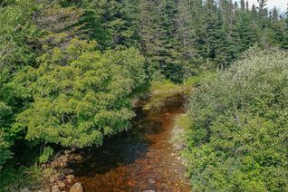 Property for Sale, 150a Steel Mountain Road, Barachois Brook, NL