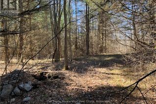 Land for Sale, 00 Pine Grove Road, Greater Napanee, ON