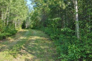 Land for Sale, Lot 5 Con 1 Road, Timiskaming Remote Area, ON