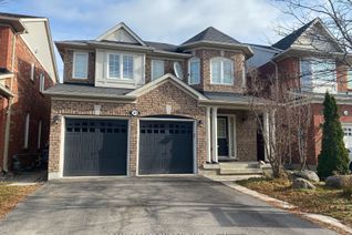 Property for Rent, 53 Ross Patrick Cres #Bsmt, Newmarket, ON