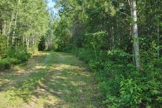 Land for Sale, LOT 5 CON 1 Rd, Timiskaming Remote Area, ON