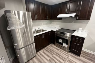 Apartment for Rent, 40 Langholm Crt #Basemnt, Brampton, ON