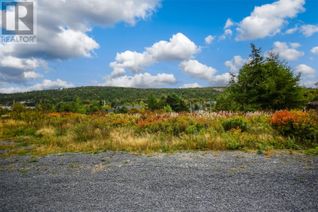 Land for Sale, 149-151 Back Track Road, Spaniards Bay, NL