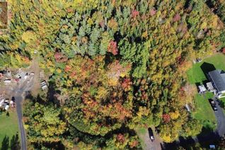 Land for Sale, Lot 5 Tower Road, Mulgrave, NS