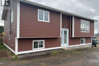 House for Sale, 41 Main Street, Springdale, NL