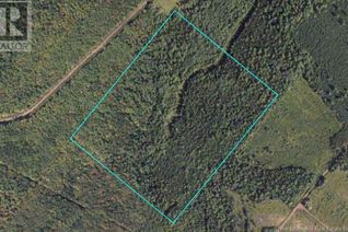 Commercial Land for Sale, Lot Route 905, Elgin, NB