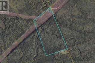 Commercial Land for Sale, Lot Grub, Colpitts Settlement, NB