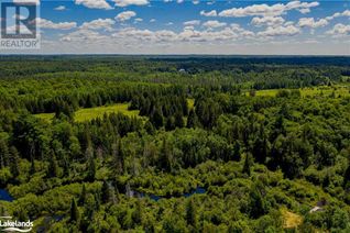 Commercial Land for Sale, Lot 8 Nelson Lake Road, Magnetawan, ON