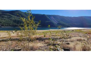 Vacant Residential Land for Sale, 5378 Broadwater Rd, Castlegar, BC