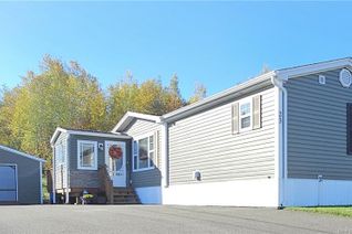 Mini Home for Sale, 23 Kate Street, Grand Falls, NB