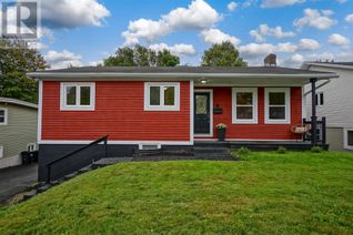 Detached House for Sale, 49 St. Michaels Avenue, St. John's, NL