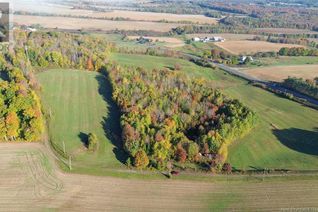 Land for Sale, 1115 560 Route, Jacksontown, NB