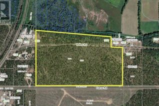 Land for Sale, 2350 Bailey Road, Valemount, BC