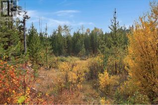 Commercial Land for Sale, Lot 12 Brown Road #PROP, Bridge Lake, BC