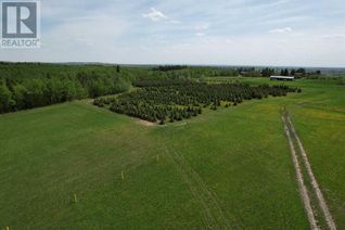 Farm for Sale, On Range Road 62, Rural Grande Prairie No. 1, County of, AB