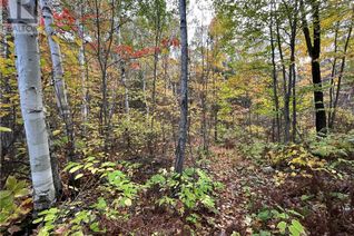 Commercial Land for Sale, 2265b Hanmer Lake Road E, Greater Sudbury, ON