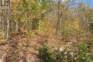 Commercial Land for Sale, 0 Chrysler Road, Bracebridge, ON