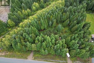 Land for Sale, 44 Elderberry Street, Kitimat, BC