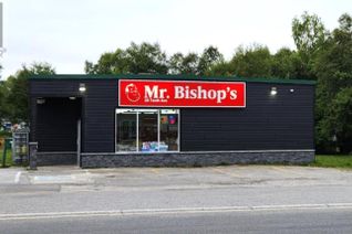 Business for Sale, 20 Tenth Avenue, Pasadena, NL