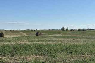 Land for Sale, Range Road 152 North Of Twp Rd 542, Rural Two Hills County, AB