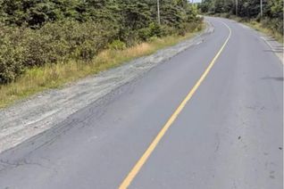 Commercial Land for Sale, 60-62 Hodgewater Line, South River, NL