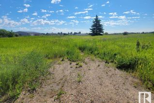 Land for Sale, 5039 56 St, Tofield, AB