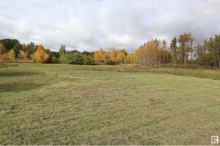 Land for Sale, Part Of Sw-33-47-2-W5, Rural Leduc County, AB