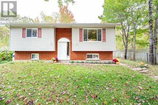 Raised Ranch-Style House for Sale, 156 Hunts Road, Chalk River, ON