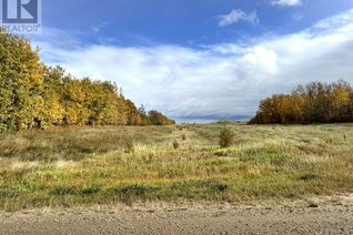 Land for Sale, 70140 Hwy 43, Valleyview, AB