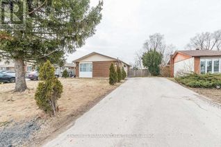 Detached House for Rent, 19 Finchley Crescent #Bsmt, Brampton (Southgate), ON