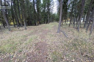 Land for Sale, 4896 Gloinnzun Drive, 108 Mile Ranch, BC