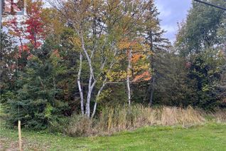 Commercial Land for Sale, Lot Chemin Robertville Road, Robertville, NB