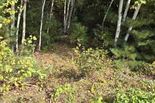 Property for Sale, Lot 11 Lower Branch Road, Lower Branch, NS