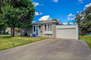 Bungalow for Rent, 203 Norfolk Ave #Bsmt, Richmond Hill, ON