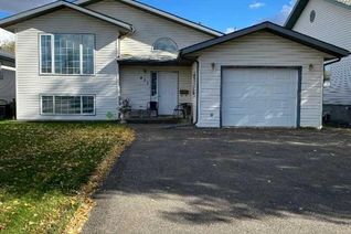 House for Sale, 411 1st Street Ne, Manning, AB