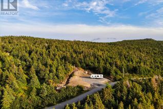 Commercial Land for Sale, 252 Harbour Drive, Colliers, NL