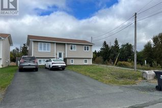 Property for Sale, 63 Dunns Hill Road, Foxtrap, NL