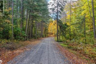 Commercial Land for Sale, 475 East Fox Lake Road, Huntsville, ON