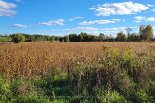 Land for Sale, Part 3 Highway 7, Madoc, ON