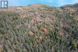 Land for Sale, Lot Whistle Road, Grand Manan, NB