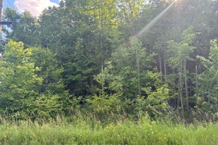 Vacant Residential Land for Sale, Lot 35 Viewmount Ave, Trent Hills, ON