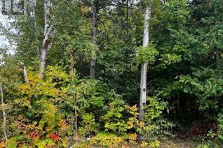 Commercial Land for Sale, 7 Shore Road, Saugeen Shores, ON