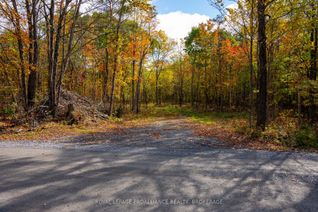 Vacant Residential Land for Sale, PL12&13 Devil Lake Rd, South Frontenac, ON