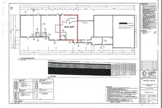 Commercial/Retail Property for Lease, 1117 Colborne St E #N1, Brant, ON