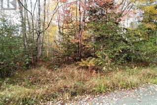 Land for Sale, East Clifford Road, East Clifford, NS